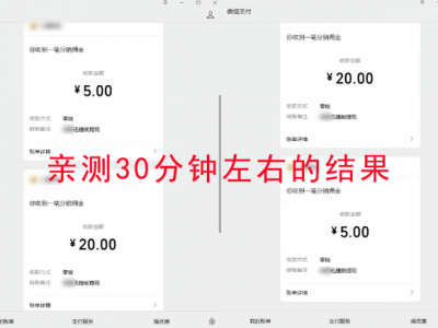 🎉超级简单小项目：真的很 Low，但来钱很快，小姑娘每天能挣1000+
