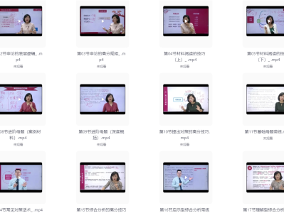 公考申论三合一系统课（申丽君）[35G]